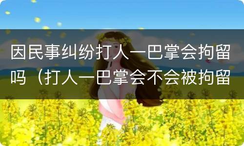 因民事纠纷打人一巴掌会拘留吗（打人一巴掌会不会被拘留）