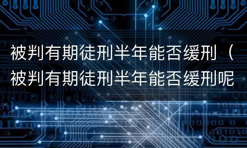被判有期徒刑半年能否缓刑（被判有期徒刑半年能否缓刑呢）