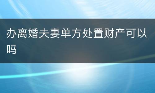 办离婚夫妻单方处置财产可以吗