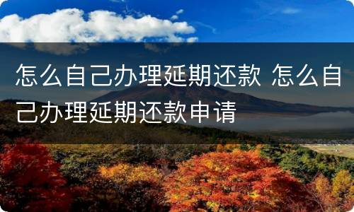 怎么自己办理延期还款 怎么自己办理延期还款申请