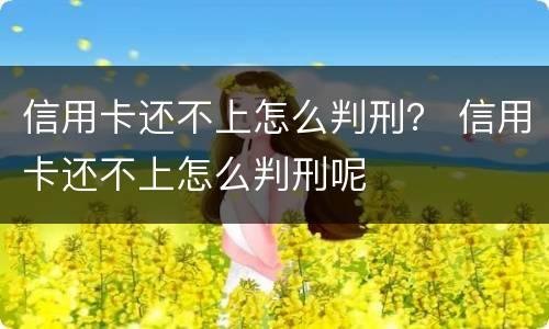 信用卡还不上怎么判刑？ 信用卡还不上怎么判刑呢