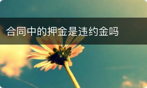 合同中的押金是违约金吗
