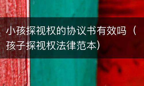 小孩探视权的协议书有效吗（孩子探视权法律范本）