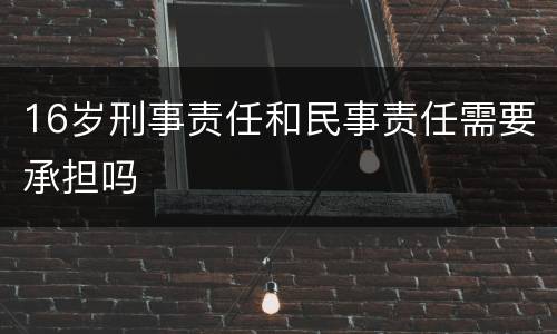 16岁刑事责任和民事责任需要承担吗