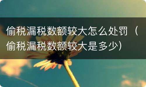 偷税漏税数额较大怎么处罚（偷税漏税数额较大是多少）