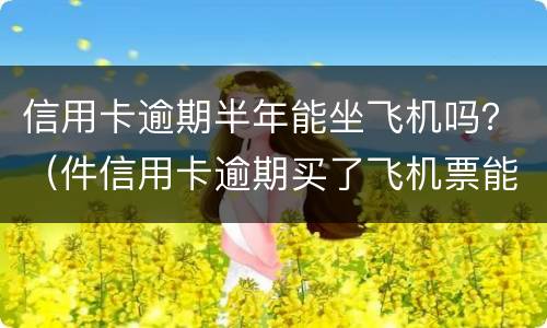 信用卡逾期半年能坐飞机吗？（件信用卡逾期买了飞机票能上飞机吗）