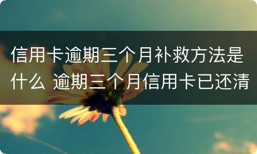 信用卡逾期三个月补救方法是什么 逾期三个月信用卡已还清最低