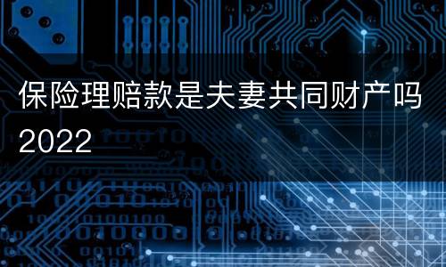 保险理赔款是夫妻共同财产吗2022