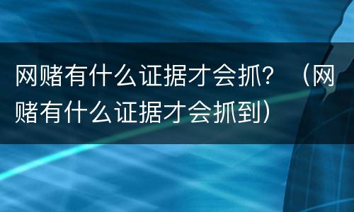 网赌有什么证据才会抓？（网赌有什么证据才会抓到）