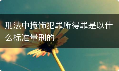 刑法中掩饰犯罪所得罪是以什么标准量刑的