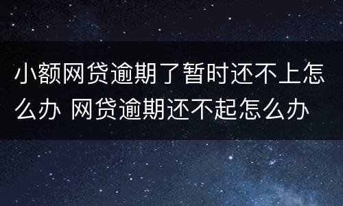 小额网贷逾期了暂时还不上怎么办 网贷逾期还不起怎么办