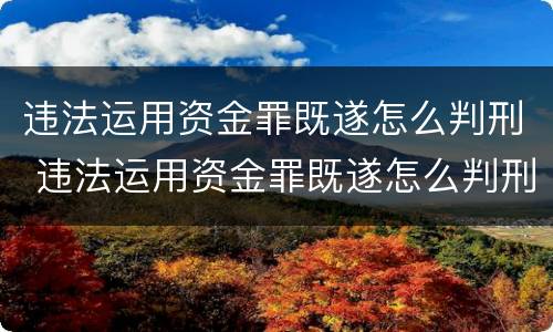 违法运用资金罪既遂怎么判刑 违法运用资金罪既遂怎么判刑的