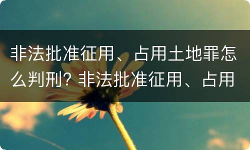 非法批准征用、占用土地罪怎么判刑? 非法批准征用、占用土地罪