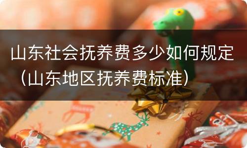 山东社会抚养费多少如何规定（山东地区抚养费标准）