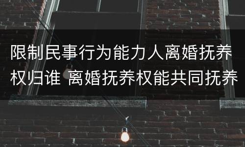 限制民事行为能力人离婚抚养权归谁 离婚抚养权能共同抚养权吗