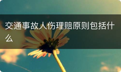 交通事故人伤理赔原则包括什么