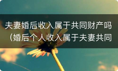 夫妻婚后收入属于共同财产吗（婚后个人收入属于夫妻共同财产吗）