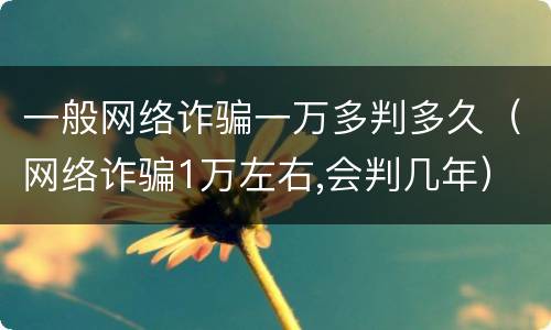 一般网络诈骗一万多判多久（网络诈骗1万左右,会判几年）