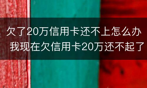 欠了20万信用卡还不上怎么办 我现在欠信用卡20万还不起了怎么办