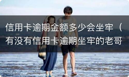信用卡逾期金额多少会坐牢（有没有信用卡逾期坐牢的老哥）