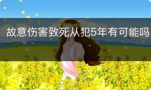 故意伤害致死从犯5年有可能吗
