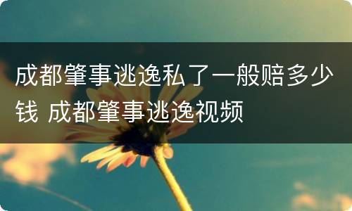 成都肇事逃逸私了一般赔多少钱 成都肇事逃逸视频