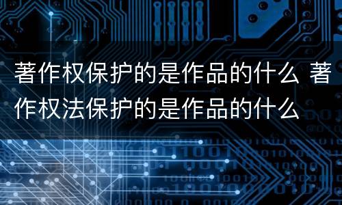 著作权保护的是作品的什么 著作权法保护的是作品的什么