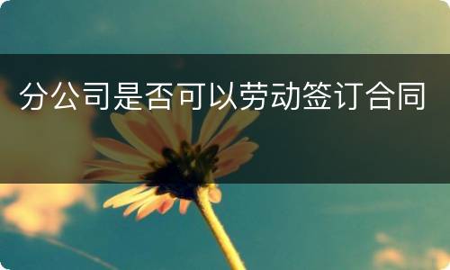 分公司是否可以劳动签订合同