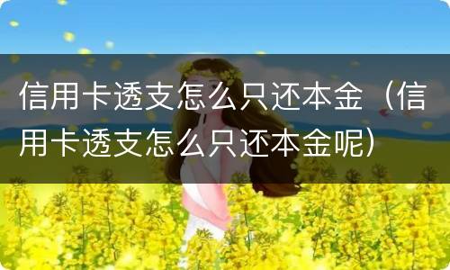 信用卡透支怎么只还本金（信用卡透支怎么只还本金呢）