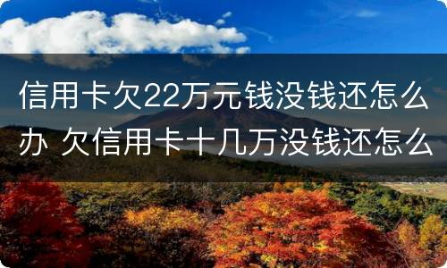信用卡欠22万元钱没钱还怎么办 欠信用卡十几万没钱还怎么办