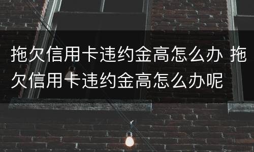 拖欠信用卡违约金高怎么办 拖欠信用卡违约金高怎么办呢