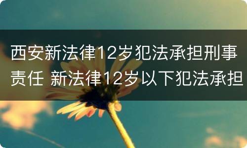 西安新法律12岁犯法承担刑事责任 新法律12岁以下犯法承担刑事责任