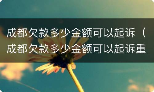 成都欠款多少金额可以起诉（成都欠款多少金额可以起诉重婚罪）
