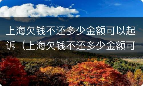上海欠钱不还多少金额可以起诉（上海欠钱不还多少金额可以起诉强制执行）