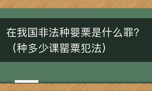 在我国非法种婴栗是什么罪？（种多少课罂粟犯法）