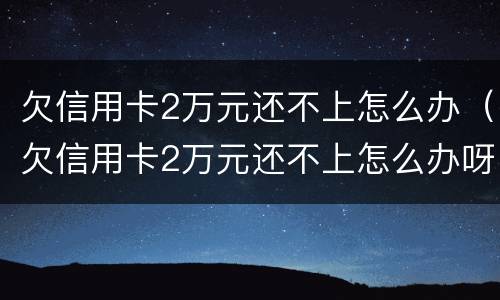欠信用卡2万元还不上怎么办（欠信用卡2万元还不上怎么办呀）