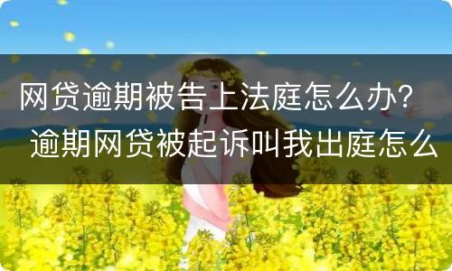 网贷逾期被告上法庭怎么办？ 逾期网贷被起诉叫我出庭怎么办