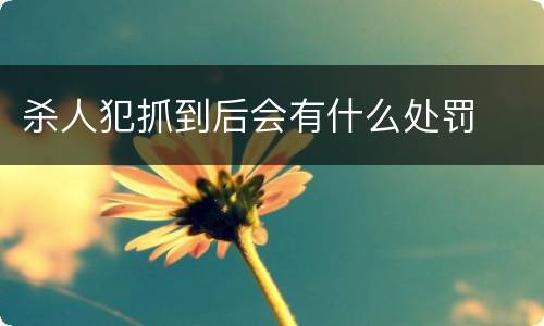 杀人犯抓到后会有什么处罚