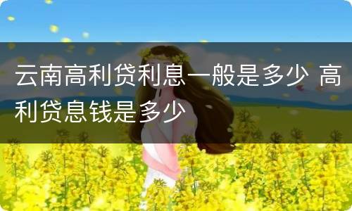 云南高利贷利息一般是多少 高利贷息钱是多少