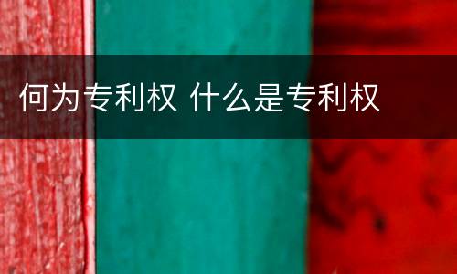 何为专利权 什么是专利权