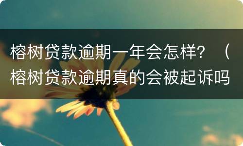 榕树贷款逾期一年会怎样？（榕树贷款逾期真的会被起诉吗?）