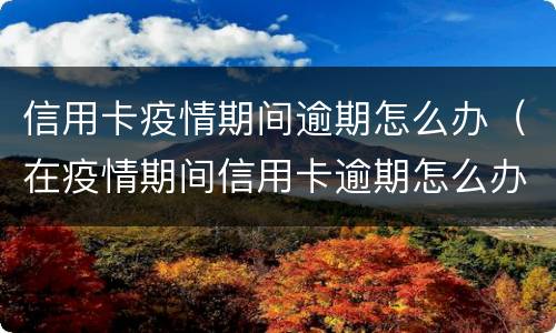 信用卡疫情期间逾期怎么办（在疫情期间信用卡逾期怎么办）