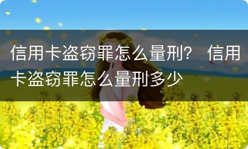 信用卡盗窃罪怎么量刑？ 信用卡盗窃罪怎么量刑多少
