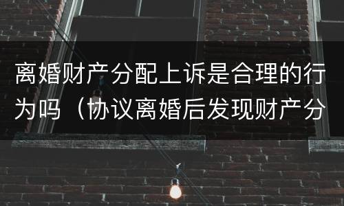 离婚财产分配上诉是合理的行为吗（协议离婚后发现财产分配不合理可以诉讼么）