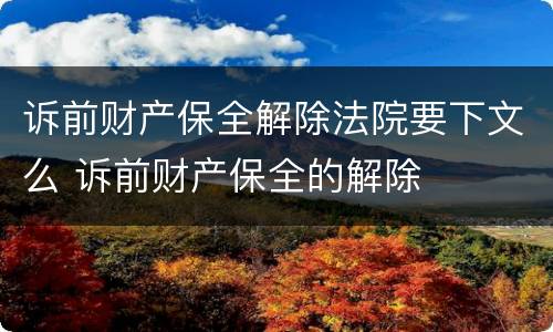 诉前财产保全解除法院要下文么 诉前财产保全的解除