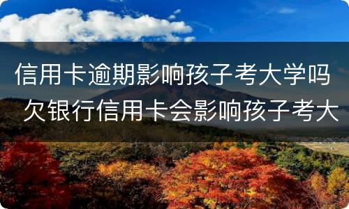 信用卡逾期影响孩子考大学吗 欠银行信用卡会影响孩子考大学吗?