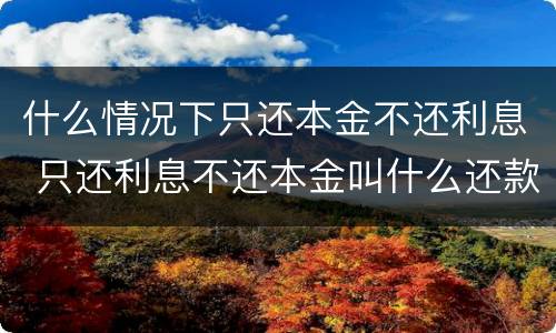 什么情况下只还本金不还利息 只还利息不还本金叫什么还款方式