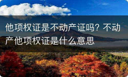 他项权证是不动产证吗? 不动产他项权证是什么意思