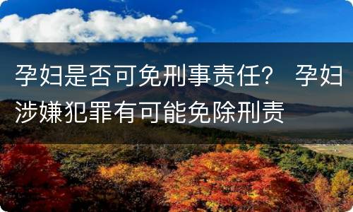 孕妇是否可免刑事责任？ 孕妇涉嫌犯罪有可能免除刑责