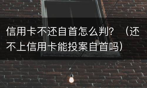 信用卡不还自首怎么判？（还不上信用卡能投案自首吗）